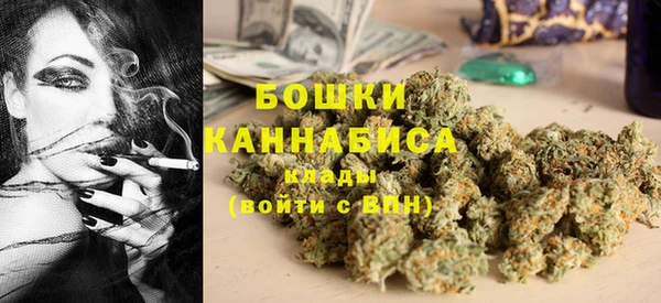 индика Алексеевка