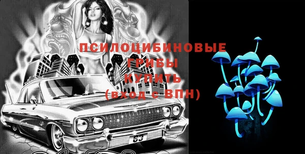 индика Алексеевка