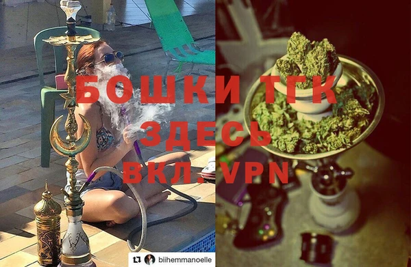 индика Алексеевка