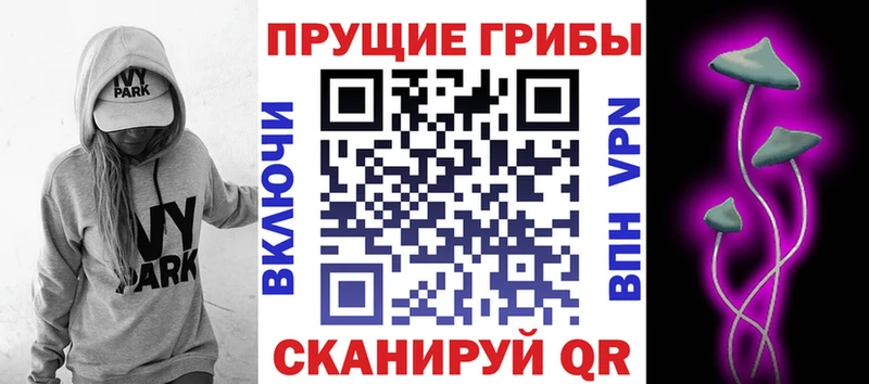 Галлюциногенные грибы MAGIC MUSHROOMS  Гурьевск 