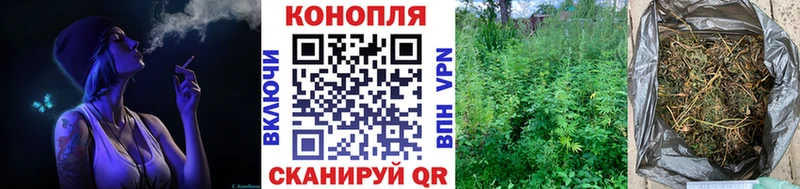 Шишки марихуана план  Гурьевск 