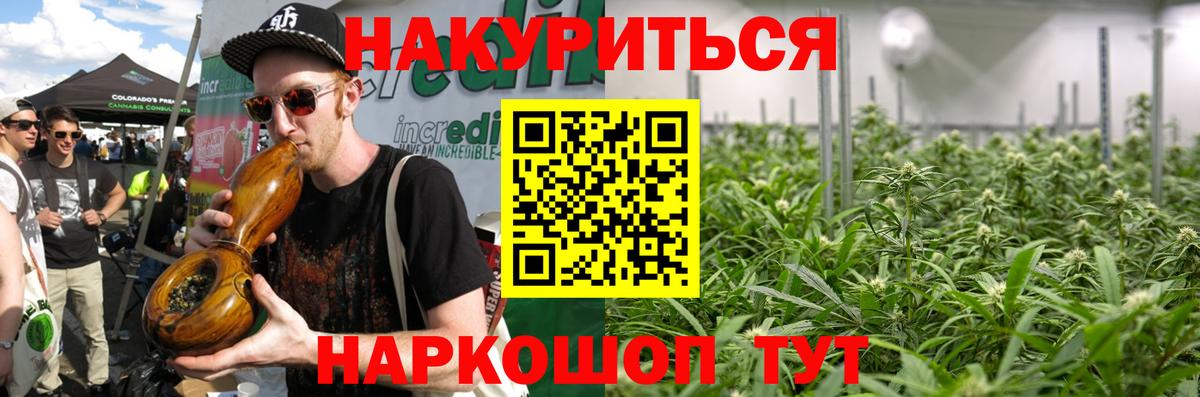 Гурьевск  Канабис семена  Вход с VPN  Шишки марихуана семена 